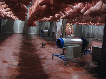 Озонирование мяса в камере охлаждения